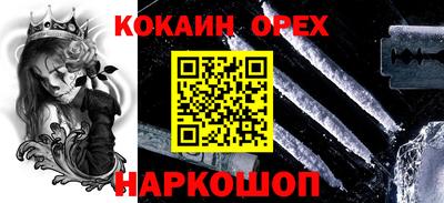 гидра Кандалакша