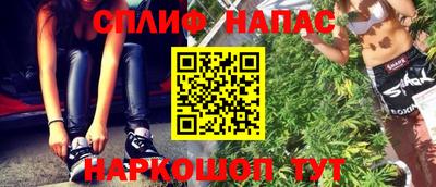 гидра Кандалакша